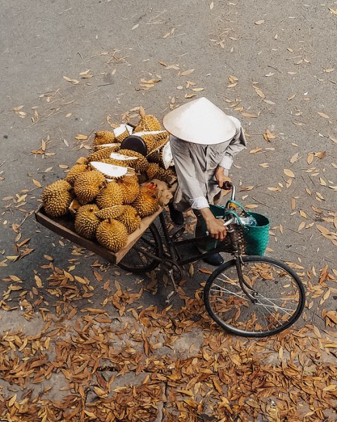 단범을송손늬 | 겟몰 쇼핑몰솔루션 디자인 파이브3